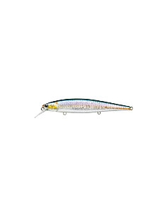 Slender Pointer 112MR color MS American Shad