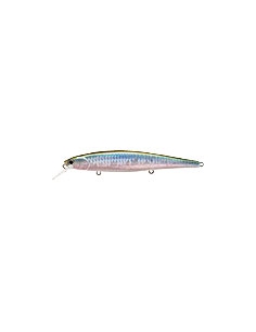 Slender Pointer 112MR color MS MJ Herring