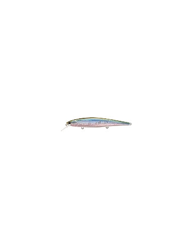 Slender Pointer 112MR color MS MJ Herring
