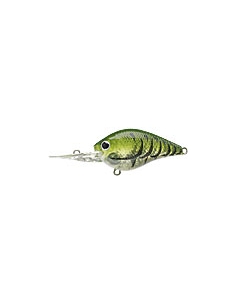S.K.T. Mini DR color Watermelon Craw