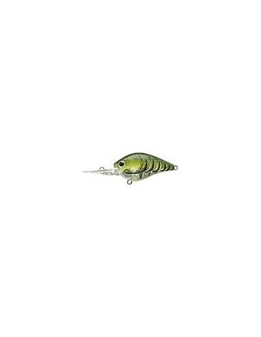 S.K.T. Mini DR color Watermelon Craw