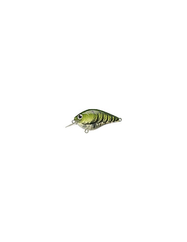 S.K.T. Mini MR color Watermelon Craw