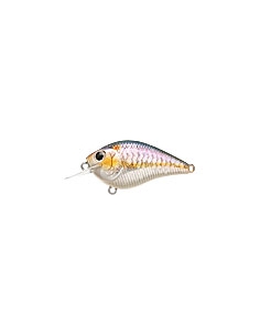 S.K.T. Mini MR color MS American Shad