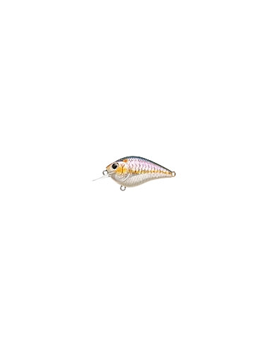 S.K.T. Mini MR color MS American Shad