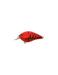 S.K.T. Mini MR color Mad Craw