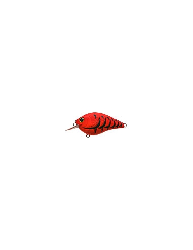 S.K.T. Mini MR color Mad Craw