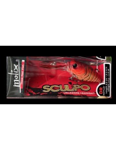copy of Sculpo DR...