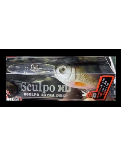 copy of Sculpo DR...