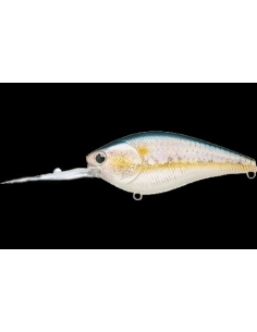 Flat CB D12 color MS American Shad