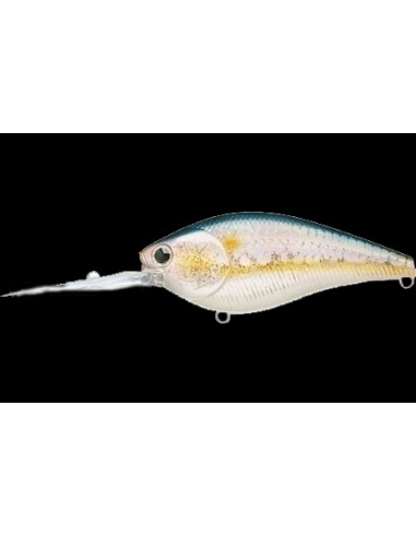 Flat CB D12 color MS American Shad