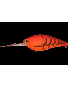 Flat CB D12 color Mad Craw