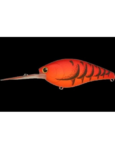 Flat CB D12 color Mad Craw