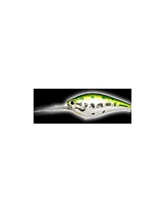Flat CB D12 color Aurora Bass