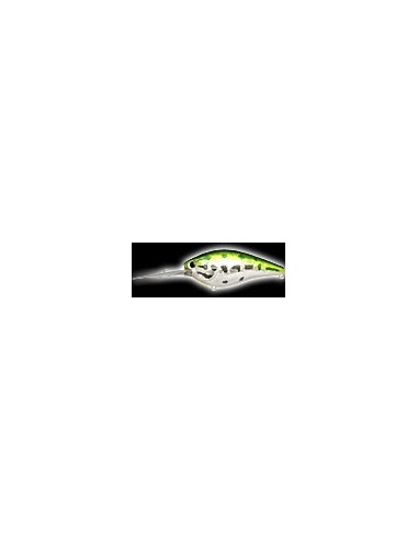 Flat CB D12 color Aurora Bass