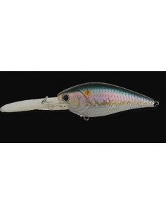 Flat CB D20 color MS American Shad