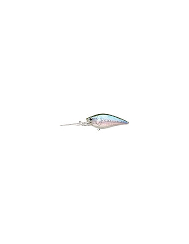 Flat CB D20 color MS MJ Herring