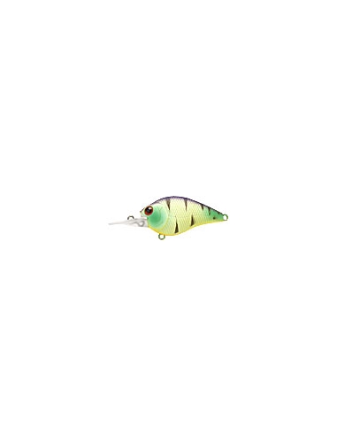 Flat CB Mini MR color Mat Tiger