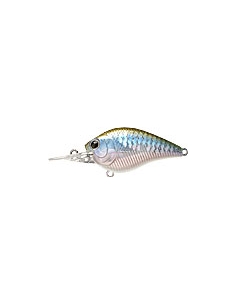 Flat CB Mini MR color MS MJ Herring