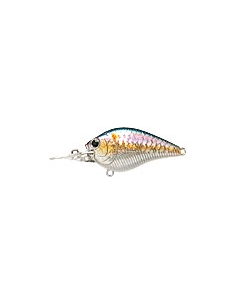 Flat CB Mini MR color MS American Shad