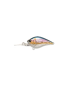 Flat CB Mini DR color MS American Shad