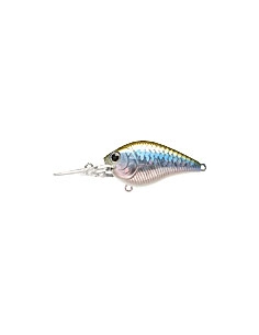Flat CB Mini DR color MS MJ Herring