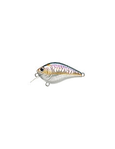 Fat CB b.d.s. 0 color MS American Shad