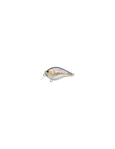 Fat CB b.d.s. 0 color MS American Shad