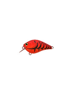 Fat CB b.d.s. 0 color Mad Craw