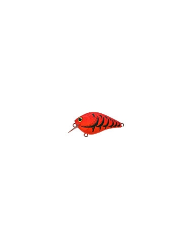 Fat CB b.d.s. 0 color Mad Craw