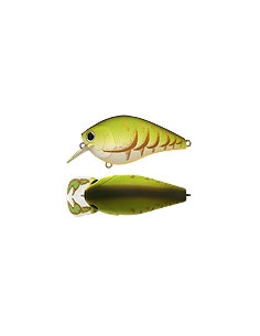 Fat CB b.d.s. 2 color Rootbeer Craw