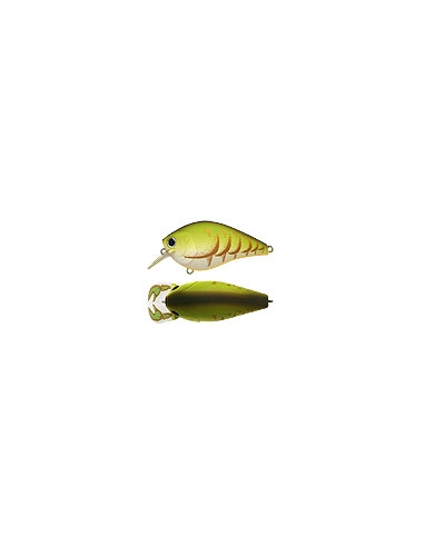 Fat CB b.d.s. 2 color Rootbeer Craw