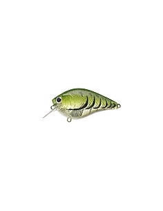 Fat CB b.d.s. 2 color Watermelon Craw