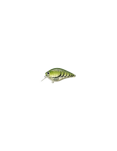 Fat CB b.d.s. 2 color Watermelon Craw