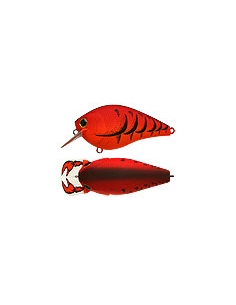 Fat CB b.d.s. 2 color Mad Craw
