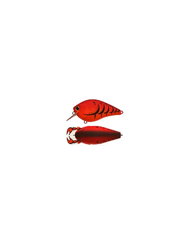 Fat CB b.d.s. 2 color Mad Craw