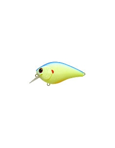 Fat CB b.d.s. 2 color Chartreuse Ligth Blue