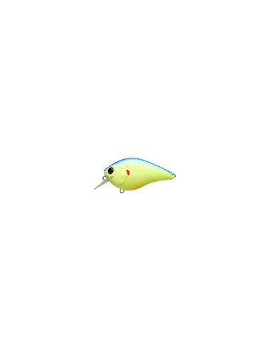 Fat CB b.d.s. 2 color Chartreuse Ligth Blue