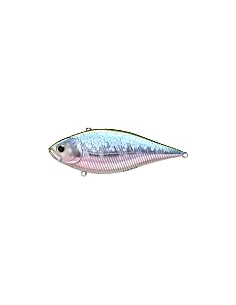 LVR D-15 color MS MJ Herring
