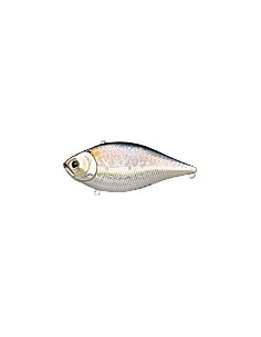LVR D-10 color MS American Shad