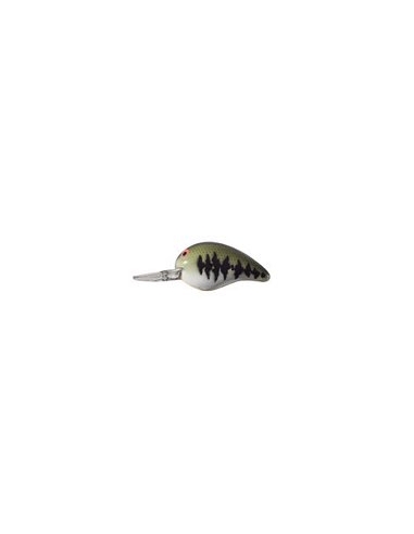 Fat A B06F color BBO Baby Bass Orange Belly (Bass Vientre Naranj