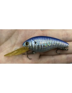 CB-200 color Blue Zebra