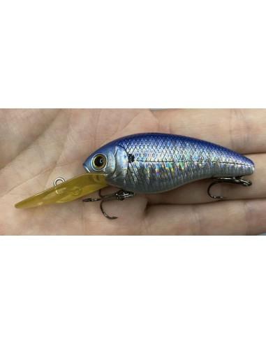 CB-200 color Blue Zebra