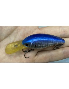 CB-200 color Blue Zebra 2