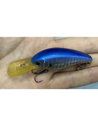 CB-200 color Blue Zebra
