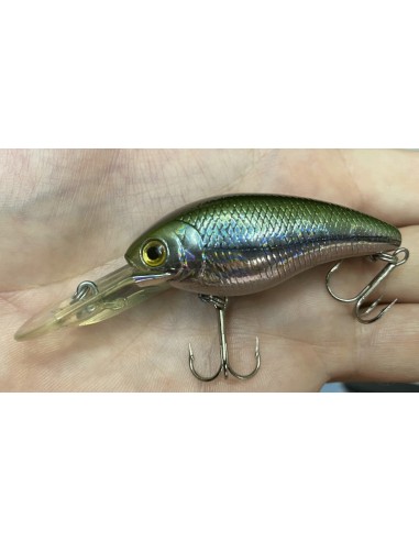 CB-200 color Moroko