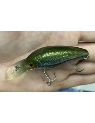 CB-200 color Moroko
