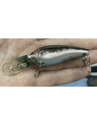 CB-200 color Moroko