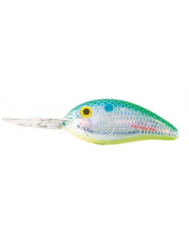 Fat Free Shad Fingerling BD5F color DCS Dance's Citrus Shad