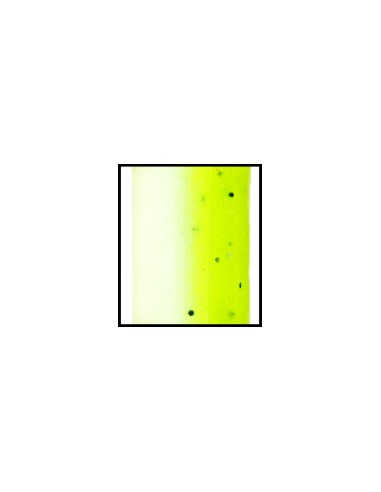 Swimin´Senko 3,5" color 909 White Chart