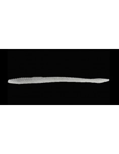 Finesse Worm color Smokin Shad